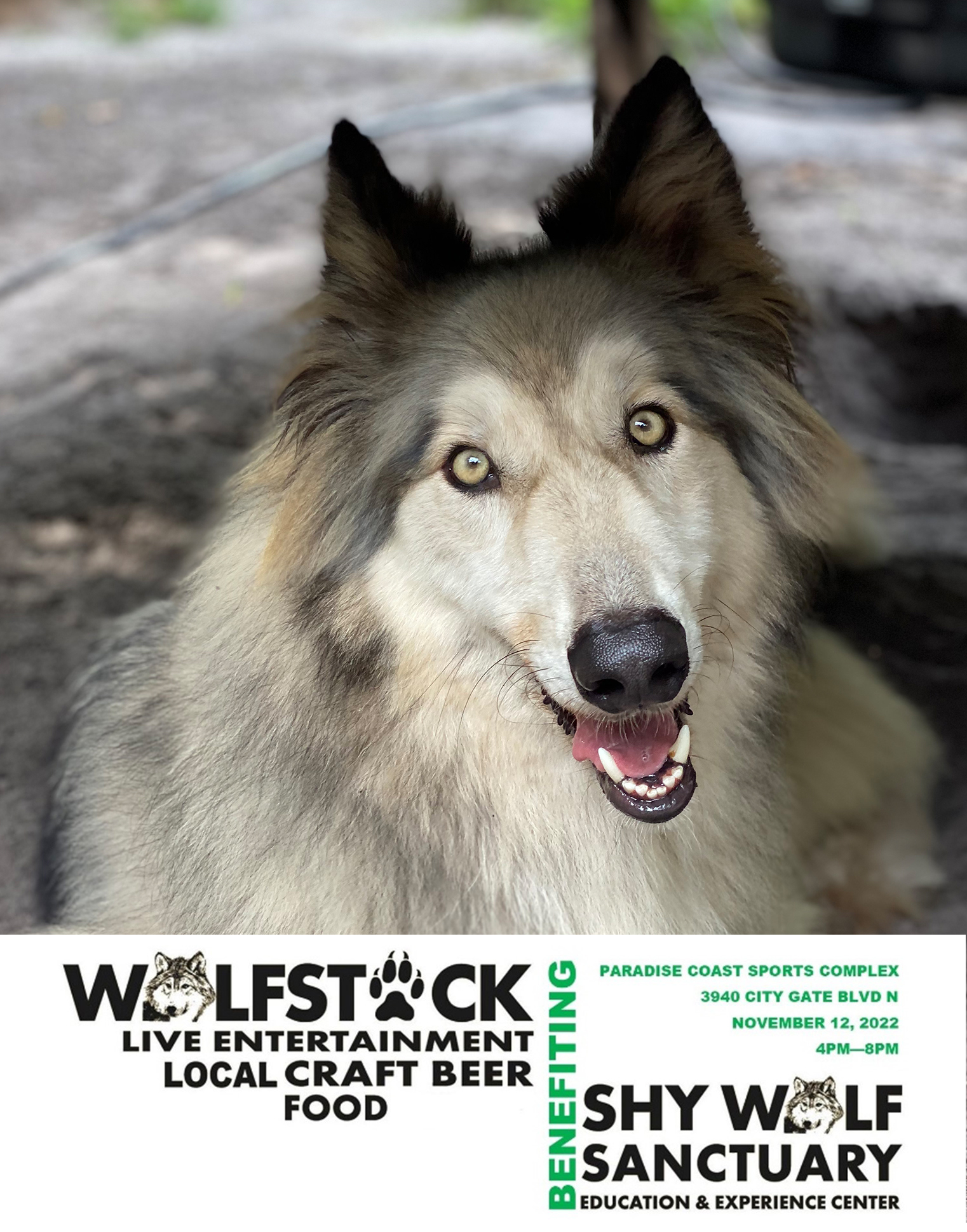 WolfStock