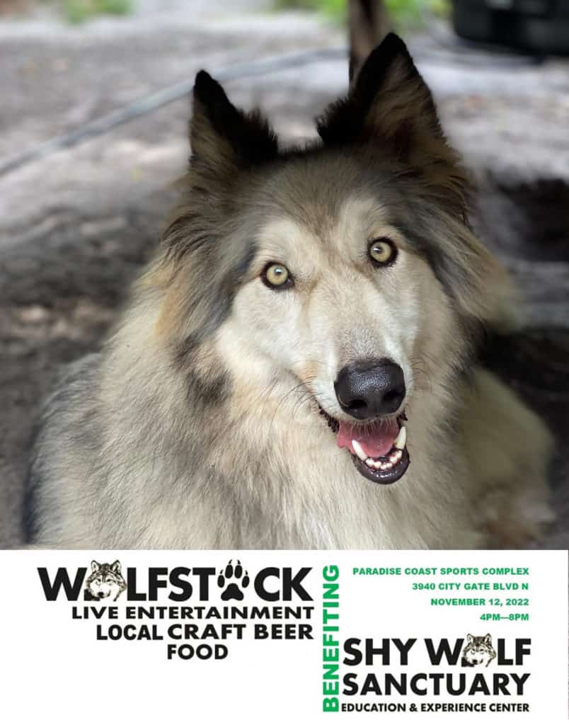 Wolfstock2022