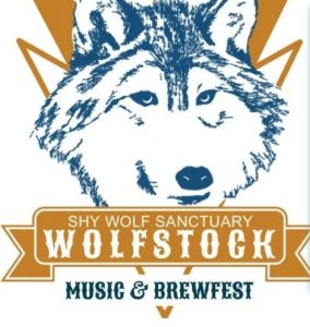 Wolfstock 2025 logo