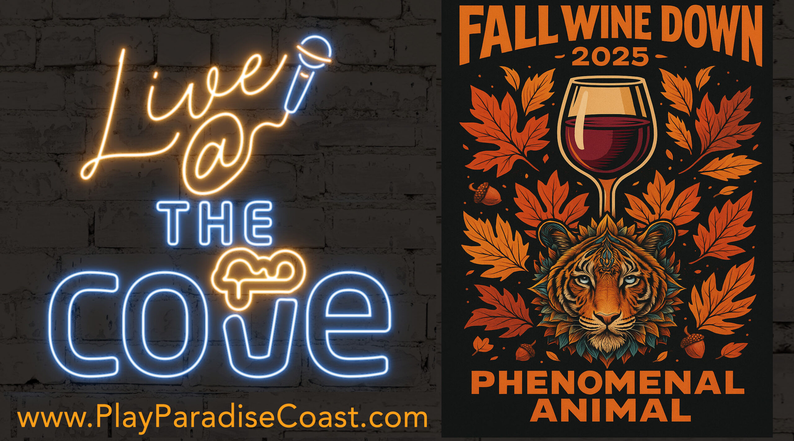 Live At The Cove WineDown