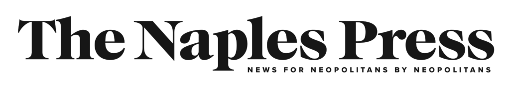 TNP logo